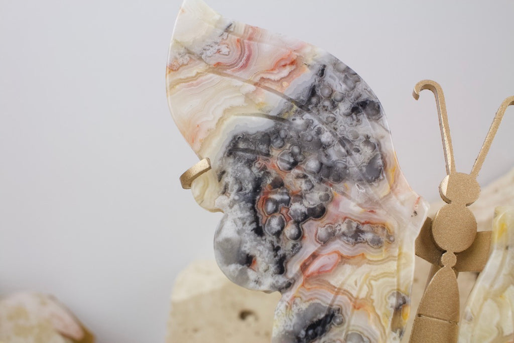 Crazy Lace Agate Wings on Stand 14cm
