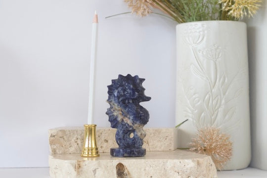 Sodalite Seahorse Carvings 10cm