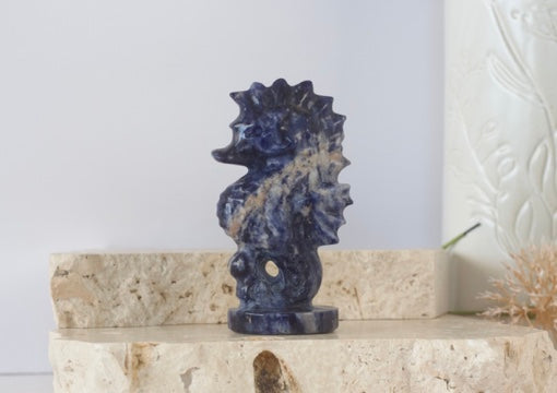 Sodalite Seahorse Carvings 10cm