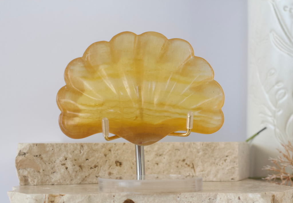 Fluorite Shell Dish 9.5cm - 12cm