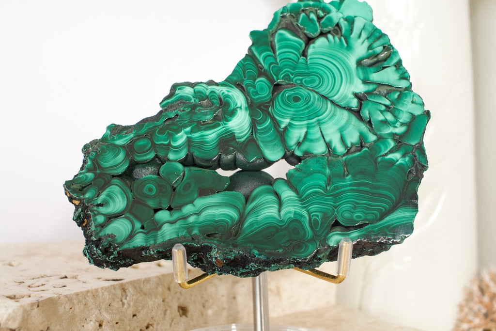 Malachite Polished Slice 12.8cm