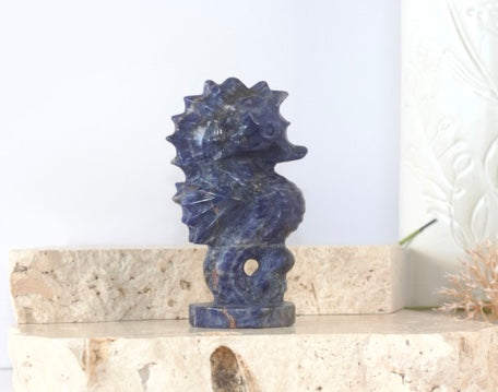 Sodalite Seahorse Carvings 10cm