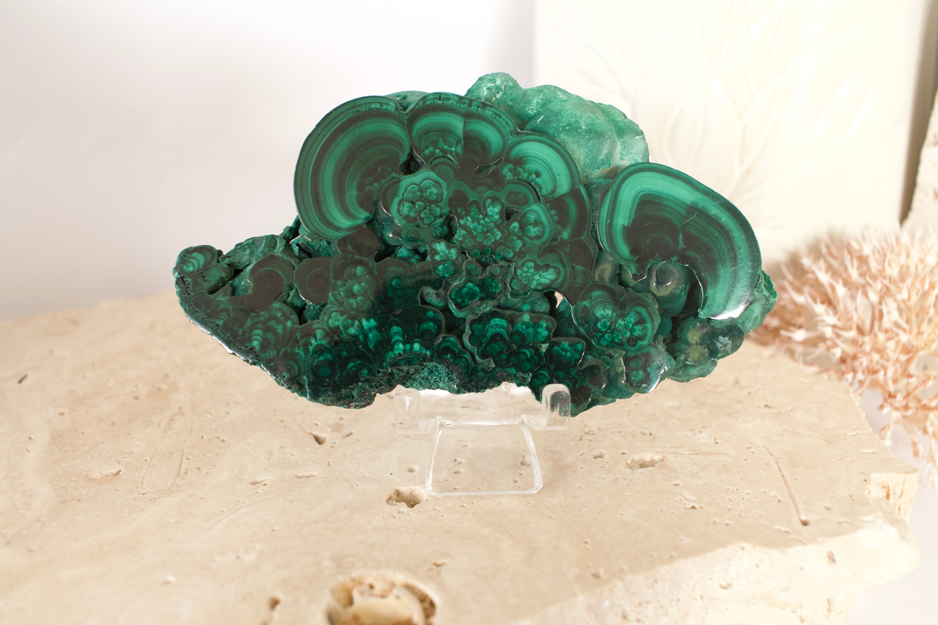 Malachite Slice 10.7cm