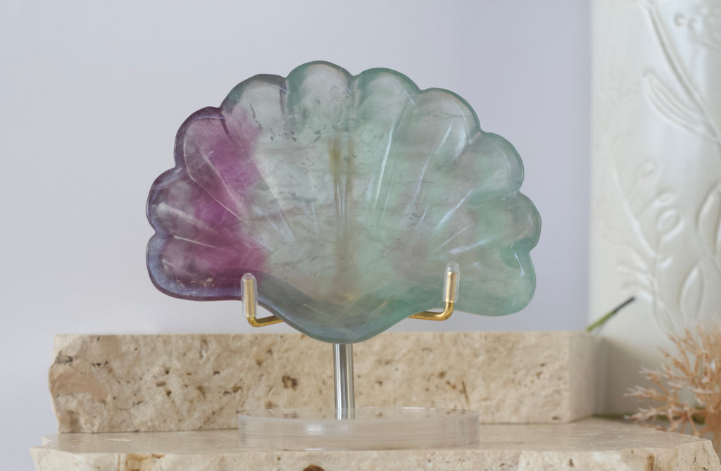 Fluorite Shell Dish 9.5cm - 12cm