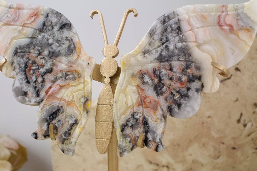 Crazy Lace Agate Wings on Stand 14cm