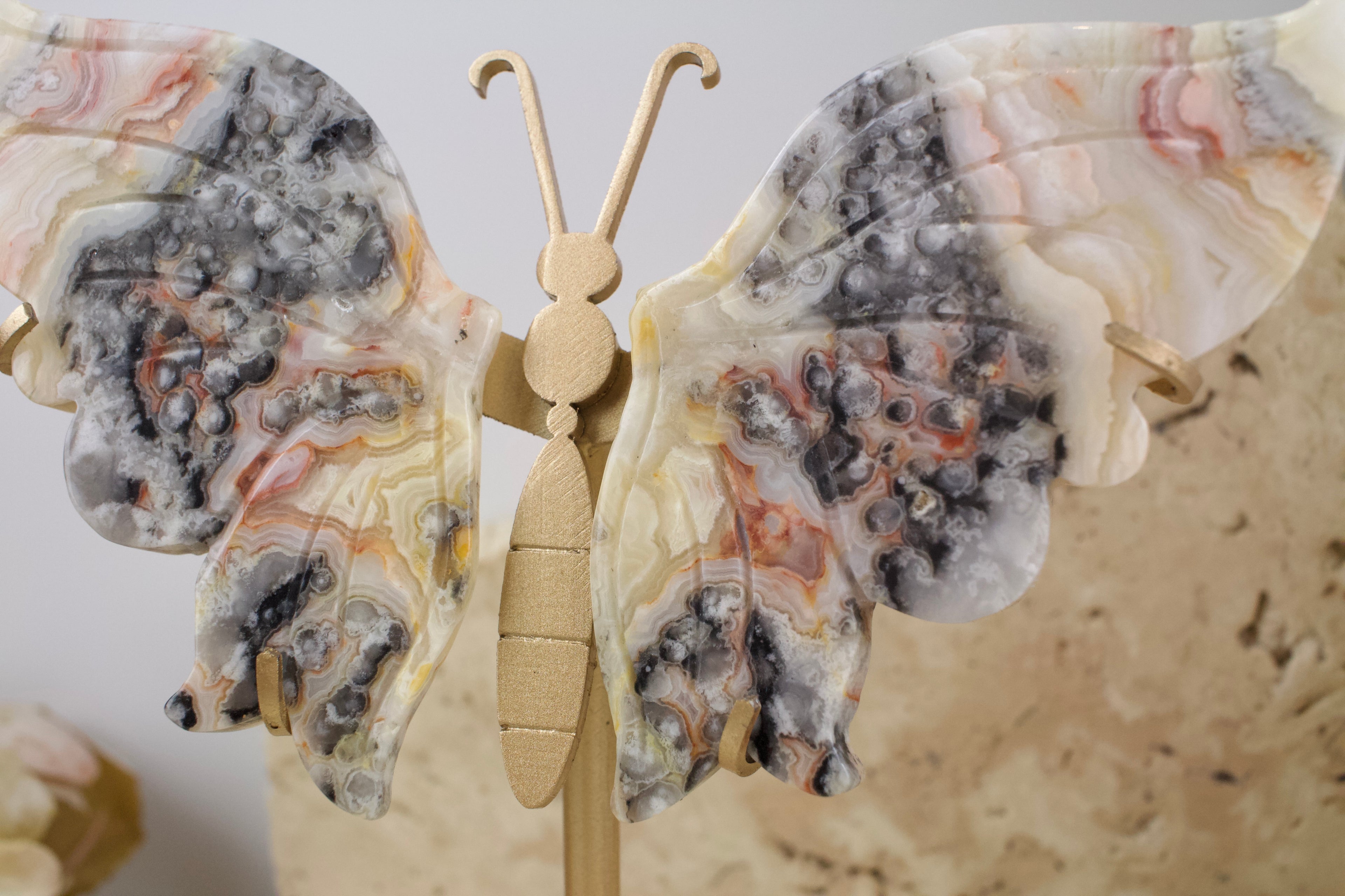 Crazy Lace Agate Wings on Stand 14cm