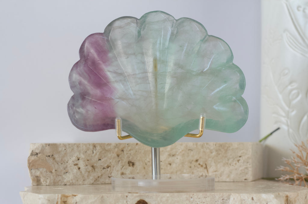 Fluorite Shell Dish 9.5cm - 12cm