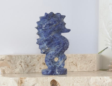 Sodalite Seahorse Carvings 10cm