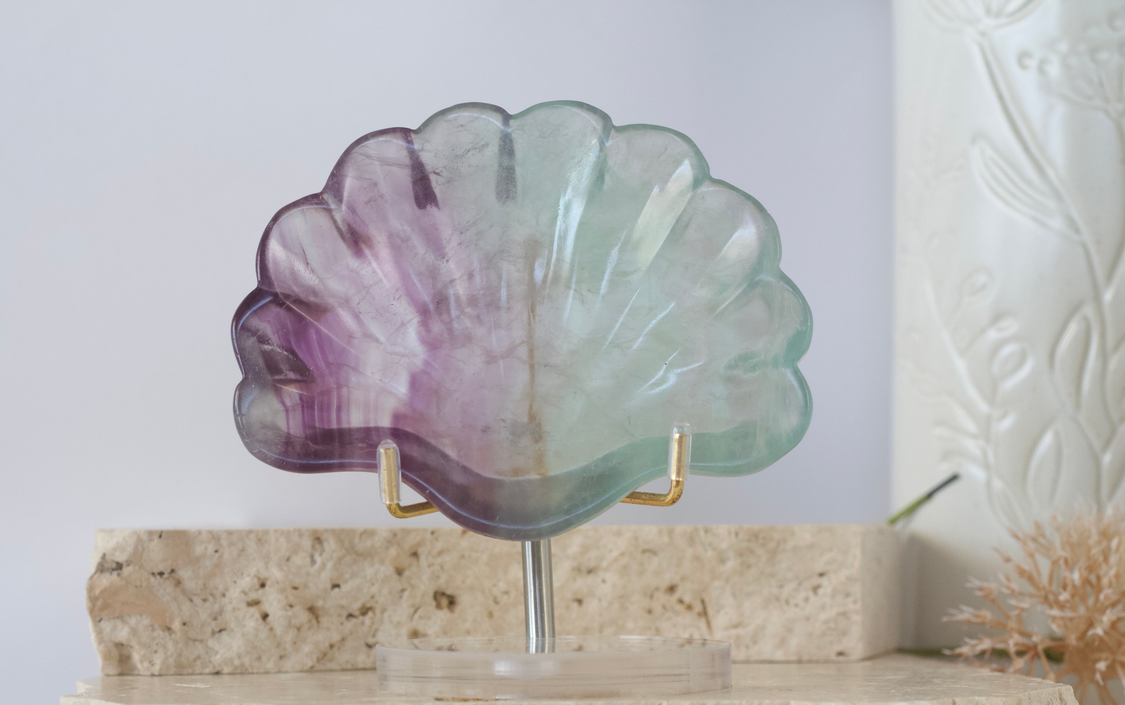 Fluorite Shell Dish 9.5cm - 12cm