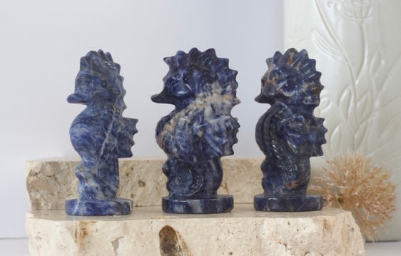 Sodalite Seahorse Carvings 10cm