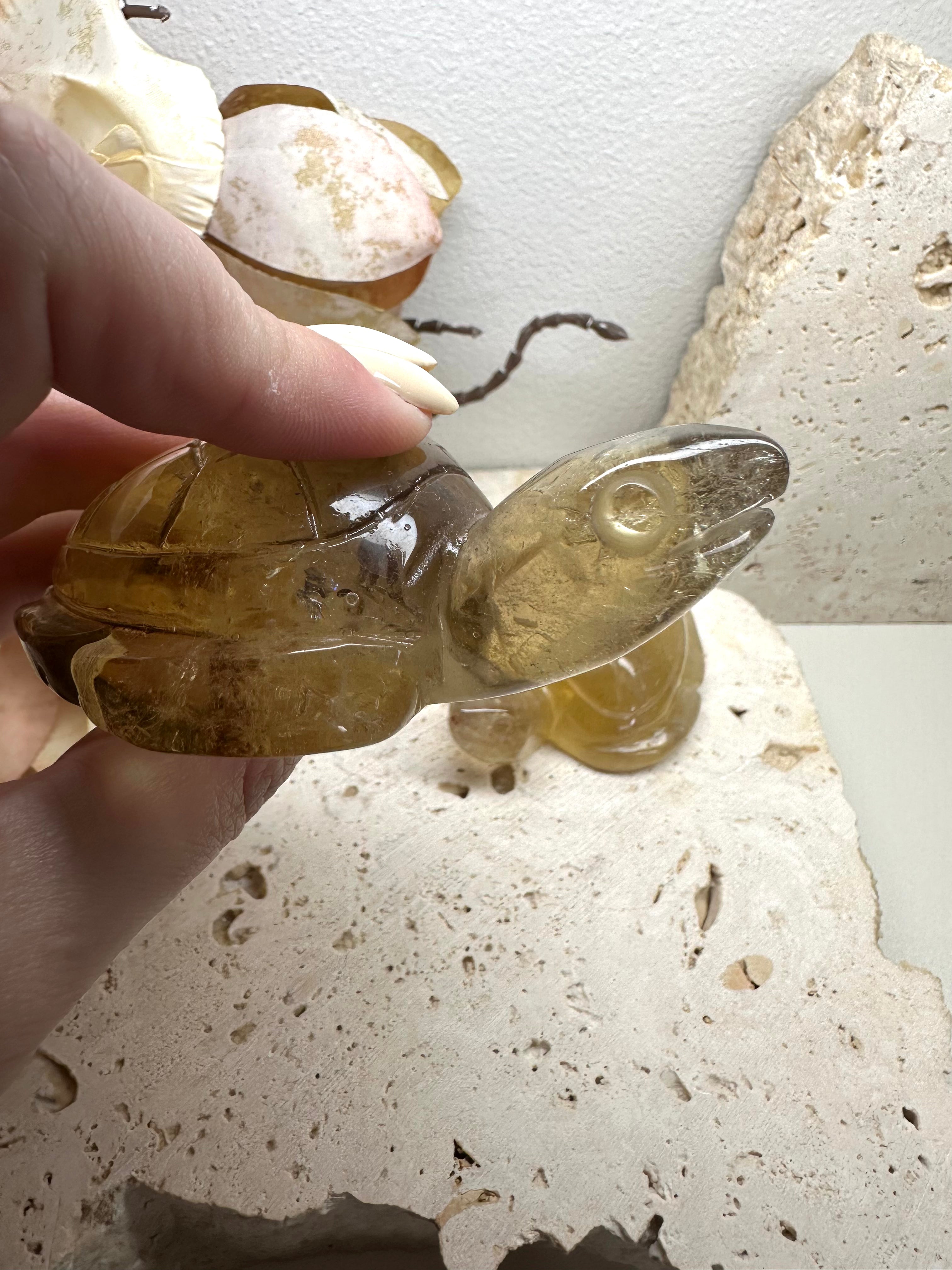 Citrine Turtle Carving Two Sizes