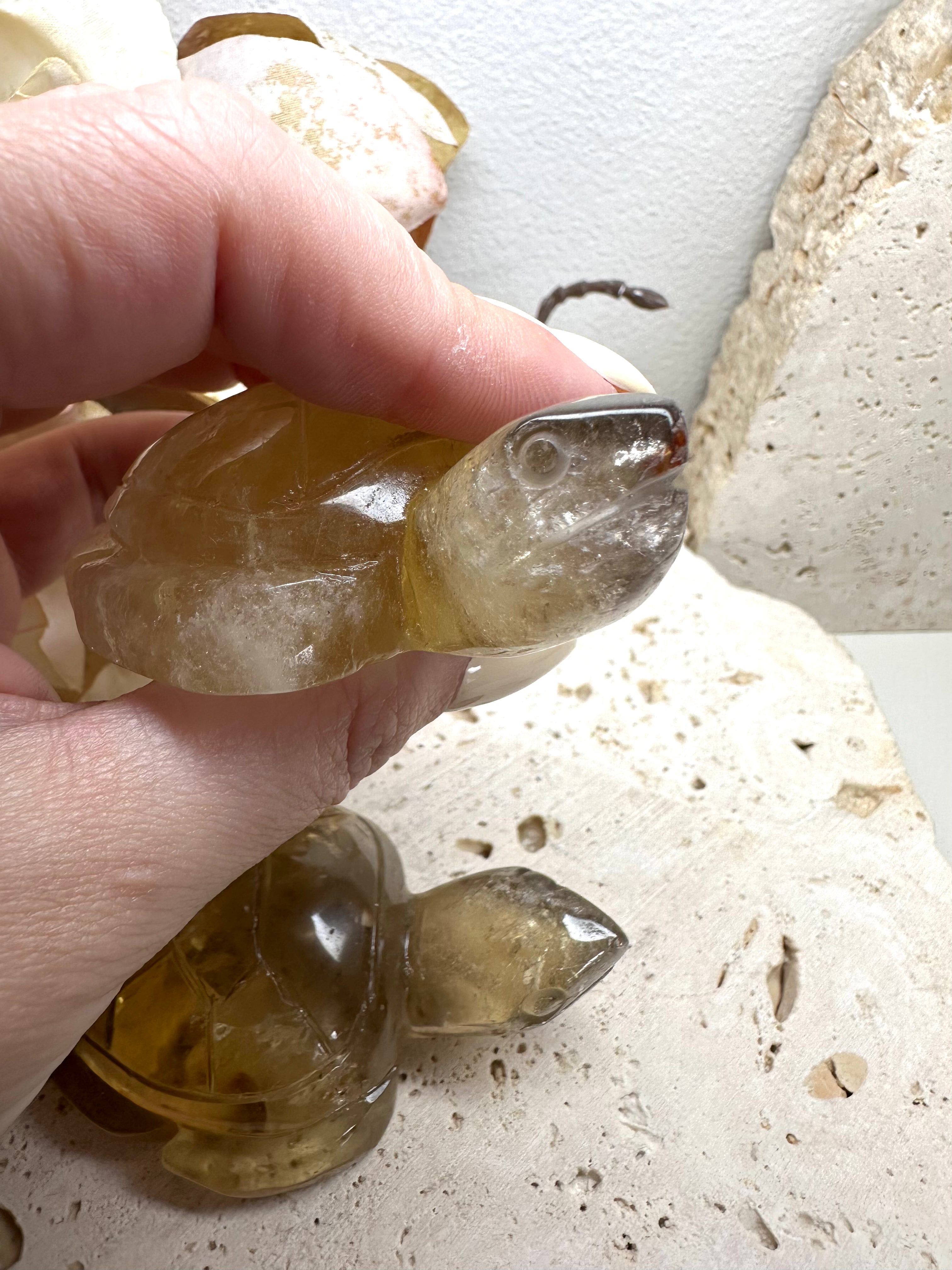 Citrine Turtle Carving Two Sizes