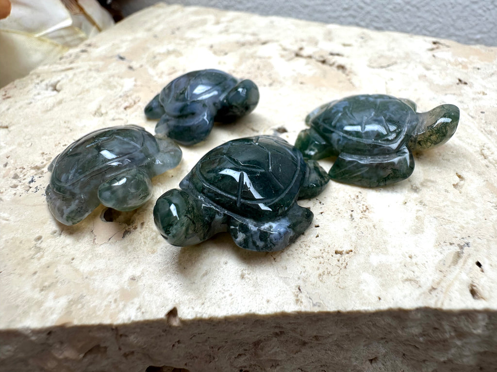 Mini Moss Turtle 2x3cm