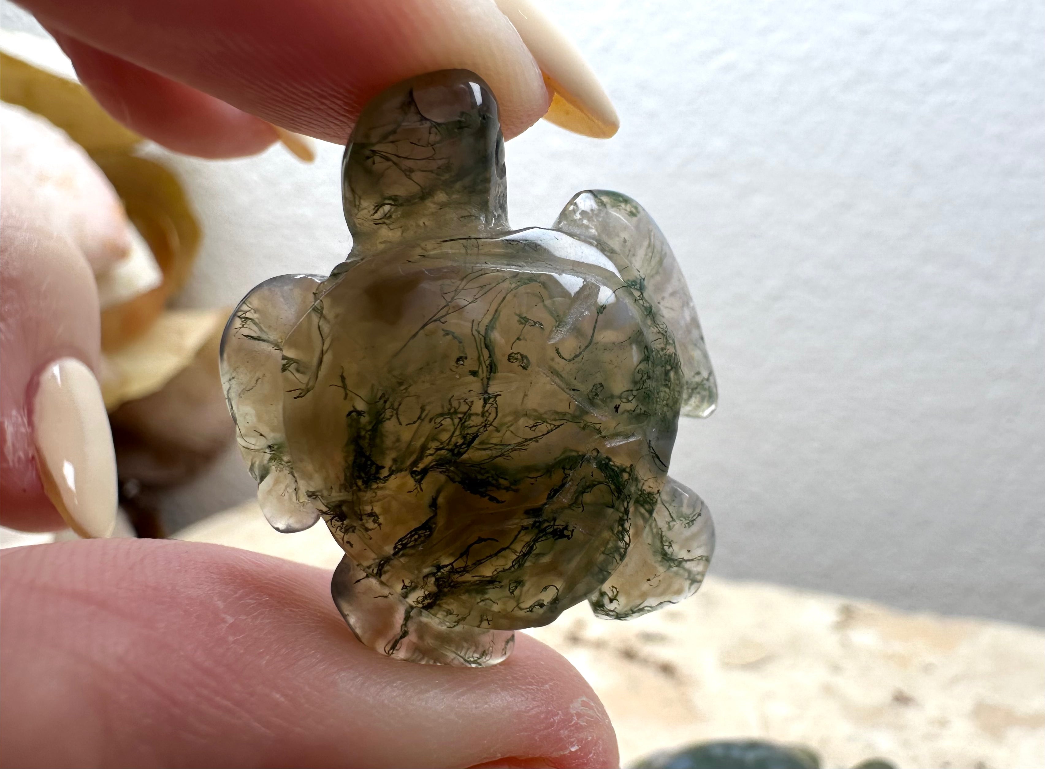 Mini Moss Turtle 2x3cm