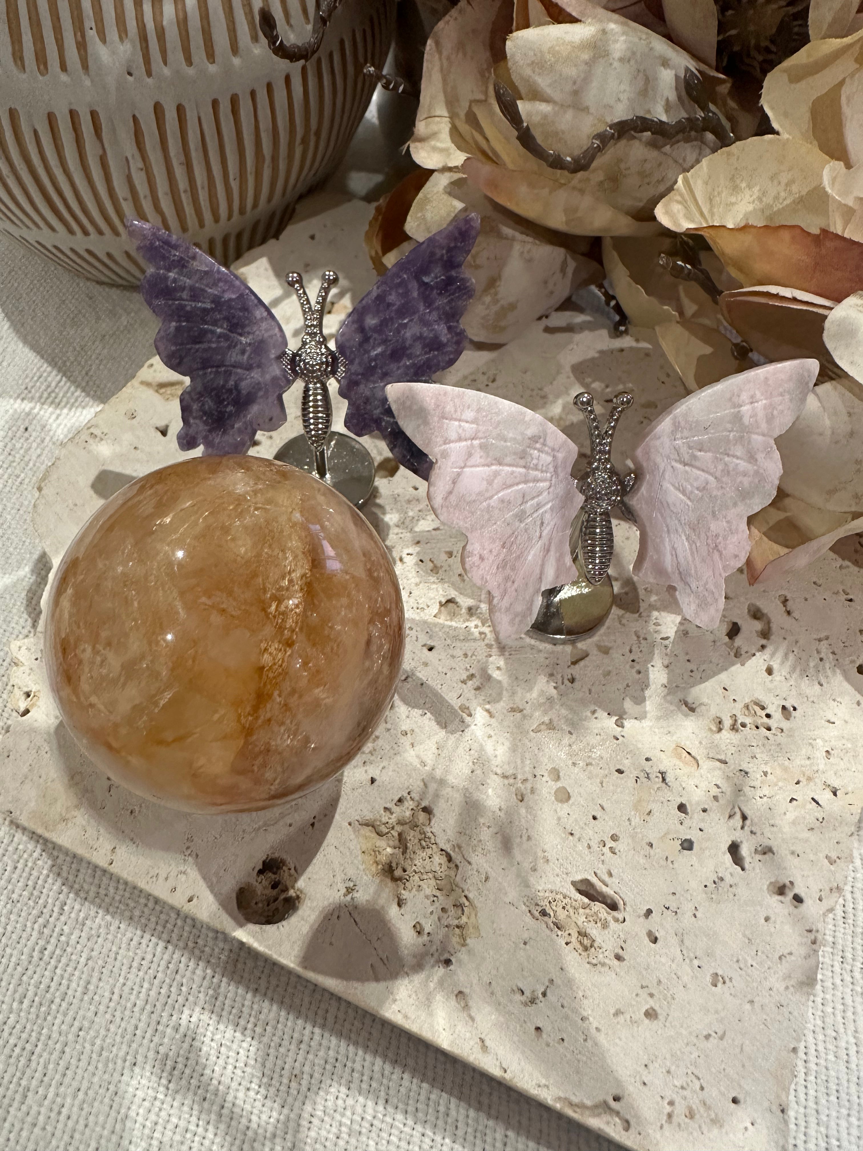 Lily Butterfly | TT 7 June
